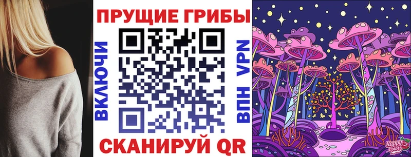 Галлюциногенные грибы Psilocybine cubensis  Реутов 