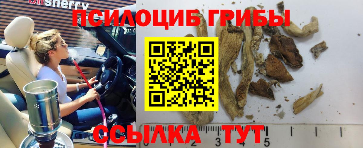 Реутов  Галлюциногенные грибы Magic Shrooms  где купить наркоту  Галлюциногенные грибы MAGIC MUSHROOMS  Вход с VPN 